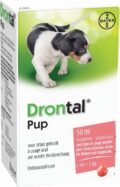 Drontal pup