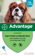 Advantage hond