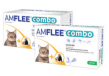 Amflee Combo Spot-on Kat