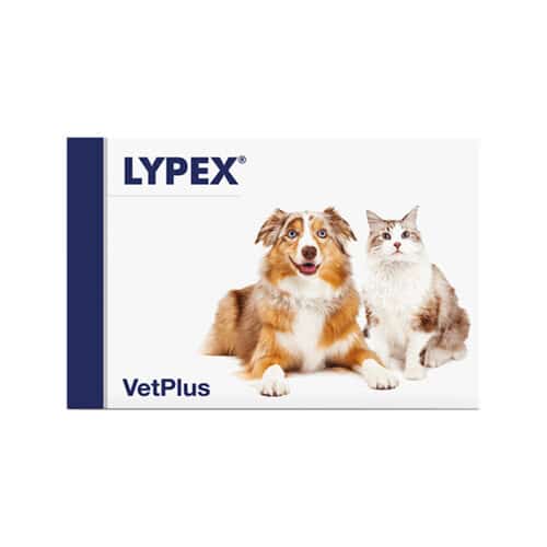 vetplus-lypex-dog-cat
